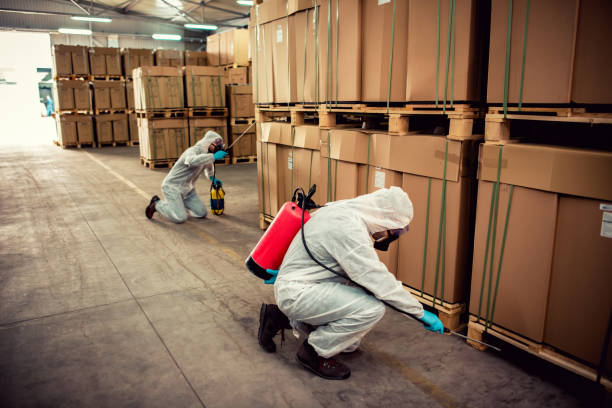 Best Best Pest Control Companies  in Huntingtown, MD