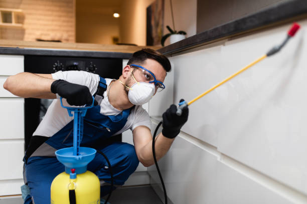 Best Commercial Pest Control Services  in Huntingtown, MD