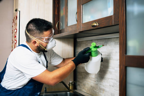 Best Termite Control Services  in Huntingtown, MD