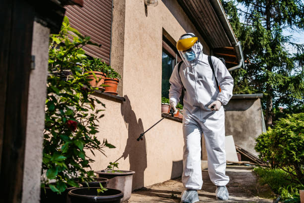 Best Local Pest Control Services  in Huntingtown, MD