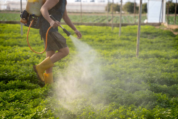Best Pest Removal Services  in Huntingtown, MD