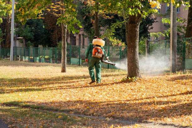Best Pest Prevention Services  in Huntingtown, MD