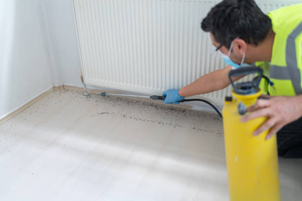 Best Residential Pest Control  in Huntingtown, MD